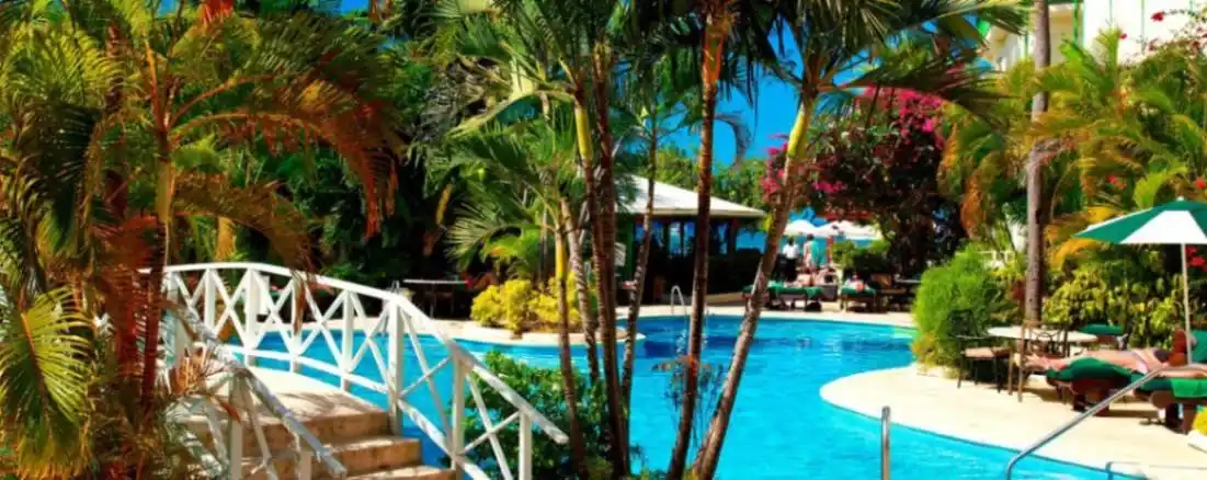 Mango Bay-1